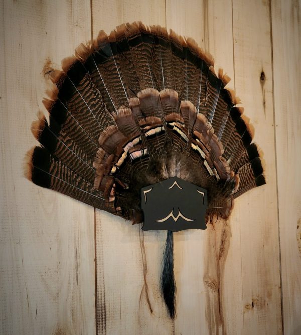 Turkey Fan Hanger - Black