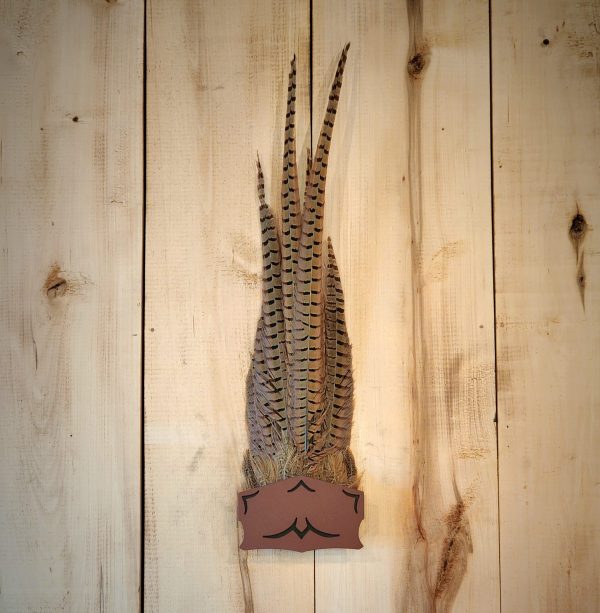 Pheasant Fan Hanger - tan