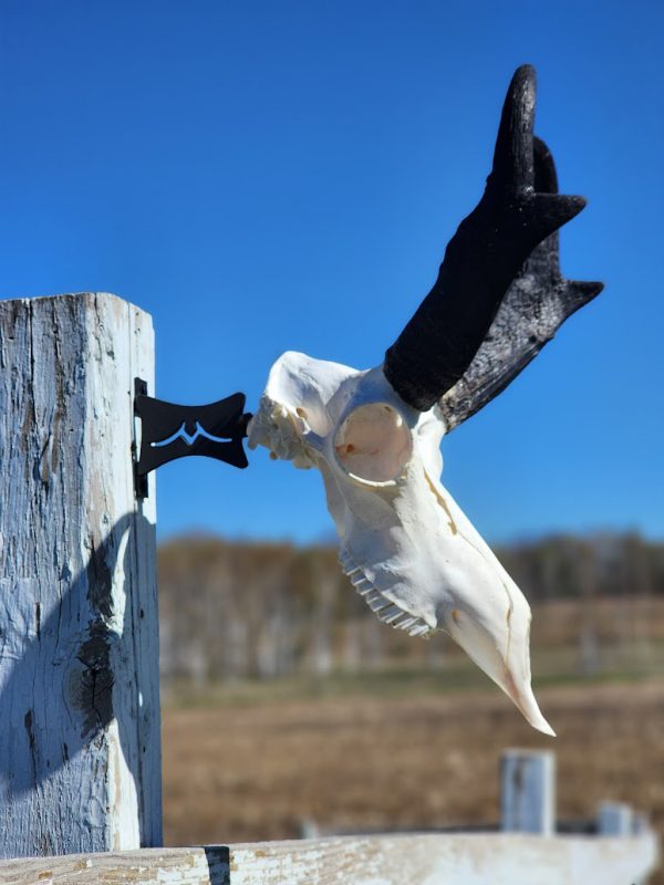 small game hanger