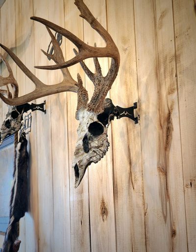 skull on hanger